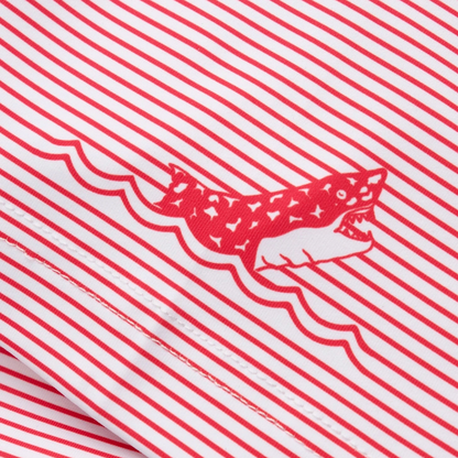 William Murray Stripe Show Polo