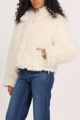Dear John Bardot Jacket